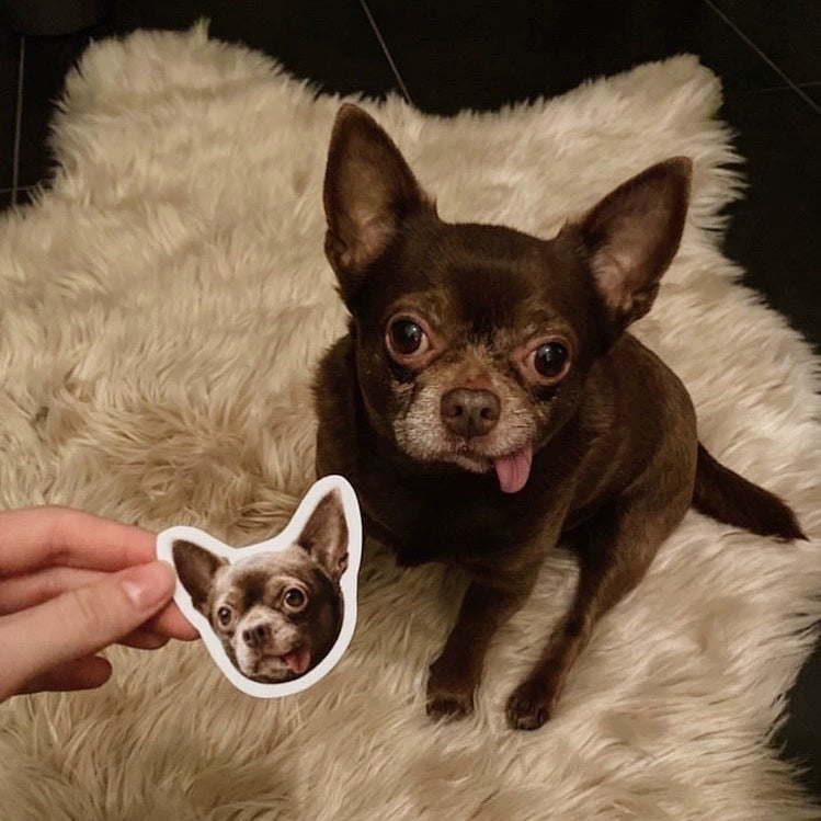 Custom Pet Stickers